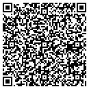 QR code with Blue Parrot Catering contacts
