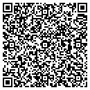 QR code with Critikon Inc contacts