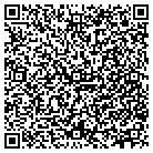 QR code with Amerifirst Group Inc contacts