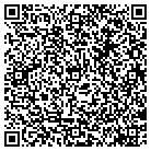 QR code with Pulsar Technologies Inc contacts