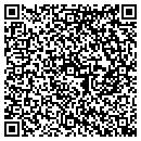 QR code with Pyramid Foundation Inc contacts