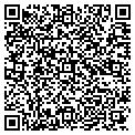 QR code with NTS Co contacts