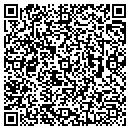 QR code with Public Works contacts