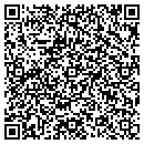 QR code with Celix Systems Inc contacts