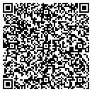 QR code with Capital Equipment Inc contacts