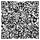 QR code with Premier Mechanical LLC contacts