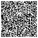 QR code with Chinaberry Farm Inc contacts