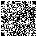 QR code with Proguardians contacts