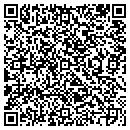 QR code with Pro Home Improvements contacts