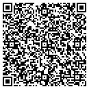 QR code with Precision Auto Care contacts