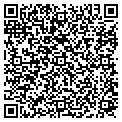 QR code with BDW Inc contacts