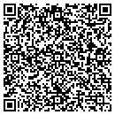 QR code with Premier Concrt Masy contacts