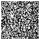 QR code with Practically Pikasso contacts