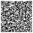 QR code with Babini Ltd Inc contacts