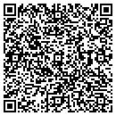 QR code with Pro Ink Corp contacts