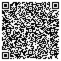 QR code with D 7 Inc contacts