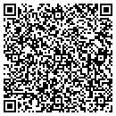 QR code with Carter Zane Electric contacts