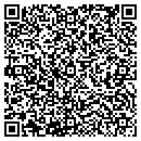 QR code with DSI Security Services contacts