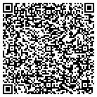 QR code with Pulmonary Studies Inc contacts