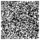 QR code with Bluegroove Records Inc contacts