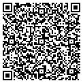 QR code with Insouth contacts