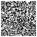 QR code with Professional Satellite contacts