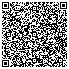 QR code with Pyramid Electric Inc contacts
