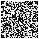 QR code with Chemical Dynamics Inc contacts