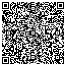 QR code with Pz Automotive contacts