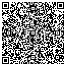 QR code with Briscoe Appliances contacts