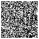 QR code with Premier Dental Team contacts