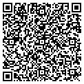 QR code with Disney contacts