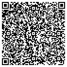 QR code with Professional Carpet Systems contacts