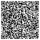 QR code with Pulaski County Comptroller contacts