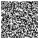 QR code with Psych Star Inc contacts