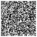 QR code with Carter Group contacts