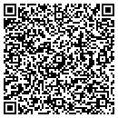 QR code with Terrific T's contacts