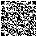 QR code with Premier 2000 contacts
