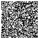 QR code with Cattitudes Cat Sitting contacts