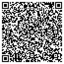 QR code with Cupids Place contacts