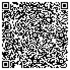 QR code with Blitstein Design Assoc contacts