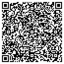 QR code with Carneys Painting contacts