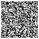 QR code with Priemer Auto Crafts contacts