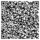 QR code with Premier Care contacts