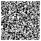 QR code with Professional Web Designs contacts