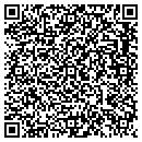 QR code with Premier Tool contacts