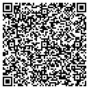 QR code with Carnival Taxi Inc contacts