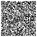 QR code with Crystal Car Systems contacts