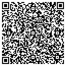QR code with Princeton Nmt Clinic contacts