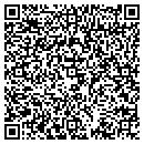 QR code with Pumpkin Patch contacts